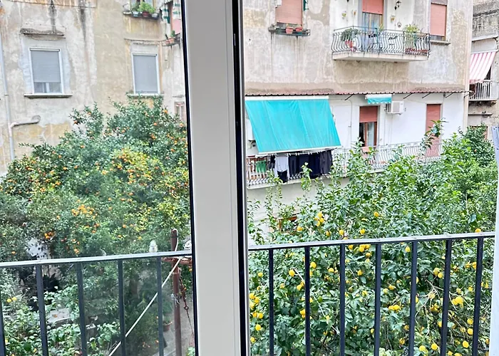 Donna Flora'S House